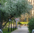 Весна на паузе: в Тюменской области на два дня вернутся заморозки - MegaTyumen.Ru