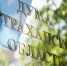 Предложения граждан к депутатам Думы Астраханской области поддержаны на Конференции ЮРПА - Punkt-a.info
