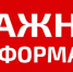 Жительница Ивановского района перевела мошенникам более 600 тысяч рублей, пытаясь «спасти» данные на «Госуслугах» - Газета Родниковский Рабочий