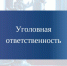Уголовная ответственность за изготовление, хранение и применение самодельных взрывных устройств (СВУ) - Бековский район
