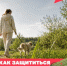 Клещи уже вышли на охоту - Бузулукский район