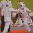 Открытое первенство МУ ДО «ДЮСШ Белгородского муниципального округа» по киокусинкай прошло в Репном - Сетевое издание Знамя 31