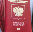 В России изменились правила пересечения границы для детей до 14 лет - Смоленская народная газета