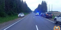 После столкновения с лосем на тверской трассе годовалый ребенок вылетел из машины - Газета Вся Тверь