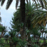 Омич не перезимует: Таиланд вдвое сократит безвизовый срок для российских туристов - Om1.Ru