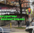 🚦 Безопасный переход дороги: вспомните сами и расскажите детям - Городское поселение Октябрьское