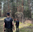 Следователем СК возбуждено уголовное дело по факту нападения безнадзорных собак на подростка в Самаре - Следственный комитет