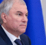 Председатель Госдумы Вячеслав Володин: «Необходимо создавать все условия для детского отдыха» - РИА Воронеж
