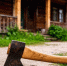 Первоисточник - Syktyvkar.1istochnik.Ru