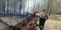 За три выходных дня в лесах Приангарья было ликвидировано восемь пожаров - Агентство лесного хозяйства
