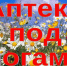 Книжная выставка «Аптека под ногами» (Черно-Падинская с/б) - МЦБ Ершовского района