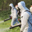 Почему важны противоклещевые обработки! - Шолоховский район