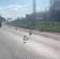 Массовое ДТП с пострадавшими произошло в Нижнем Новгороде - фото 1 - vGorodeN.Ru