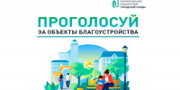 В голосовании за благоустройство общественных пространств уже приняли участие 830 тотьмичей и более 1000 вытегоров - Правительство Вологодской области