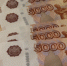 Ликвидацию бывшей птицефабрики «Снежная» под Мурманском проведут за счёт федеральных денег - SeverPost.ru