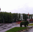 Под Воронежем территорию Центра лыжной подготовки «Дубрава» обработают от клещей - РИА Воронеж