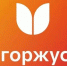 Клуб «Созвездие» СГТУ — в ТОП-30 лучших патриотических объединений рейтинга АСПК «Я горжусь» - СГТУ