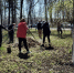В Курской области 4 тысячи человек приняли участие в субботнике «Зеленая весна» - РИА Курск