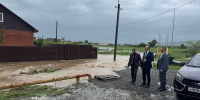 Мэр Карабулака держит поводковую ситуацию на личном контроле - Сердало