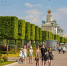 Собянин: в Москве сегодня самая большая продолжительность жизни - M24.Ru