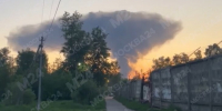 Площадь пожара в Дмитровском районе Подмосковья достигла 5 тысяч "квадратов" - M24.Ru