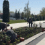В парке «Патриот» проведены работы по дополнительному озеленению - Минприроды Курской области