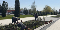 В парке «Патриот» проведены работы по дополнительному озеленению - Минприроды Курской области