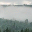 Фото: Valerii_M/Shutterstock/Fotodom - Ямал-Медиа