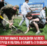 пост 1 - Cityopen.ru