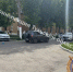 В Щекинском районе 34-летняя женщина сбила 11-летнего ребенка - ТК Первый Тульский