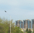 Прогноз погоды в Амурской области на 21 мая гроза - Amur.Life