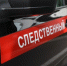 Возбуждено уголовное дело о применении насилия и оскорблении представителя власти на юго-востоке Москвы - Следственный комитет