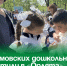 Артёмовских дошкольников посвятили в «Орлята». - Администрация Артёмовского городского округа