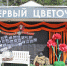 Жителям понравились такие фотозоны на улицах - Газета Вести