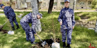 Росгвардейцы присоединились к акции «Нить поколений» в Биробиджане - Росгвардия