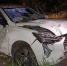 В воронежском селе HAVAL JOLION врезался в дерево, пострадала 21-летняя девушка - ВестиПК в Воронеже