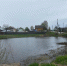 Водоем под угрозой - MyOmutninsk.Ru