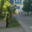 В Великих Луках стартовал сезон покоса травы - Pln-Pskov.Ru