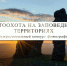 Запечатлей дикую природу России: стартовал межрегиональный фотоконкурс «Фотоохота на заповедных территориях» - Департамент природных ресурсов и экологии