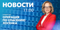 Новости Петербурга к 11:00 - tvspb.ru - ТК Санкт-Петербург