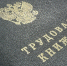Где школьникам найти работу на каникулах и что для этого нужно - Московская газета