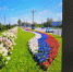 Российский флаг из петуний будет встречать хабаровчан возле аэропорта - Газета Хабаровские вести