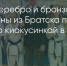 Поделитья во ВКонтакте - Братская Студия Телевидения