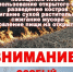 Правила посещения лесов в пожароопасный период. - Емельяновский район