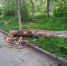 1-w7eOKviFQvnRrHwm0o_mjdiSu-O5JzeDaUDA-fAvuRS-Q-mJPfM2Mok53.jpg - Ozersk74.Ru