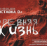 В Саратове в музее краеведения открывается выставка - Общественное мнение