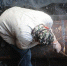030ginl3mxqg3our2vysl8mb1ejt2d1h.jpg - Primorye24.Ru