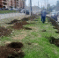 В округах депутатов Думы Иркутска Калиновского и Лунева начали озеленять дворы - Baikal24.Ru