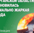 В Курганской области установилась аномально жаркая погода. - Катайский муниципальный округ