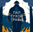 Весенние палы сухой травы превращаются в рукотворное стихийное бедствие - Кузнецкий район